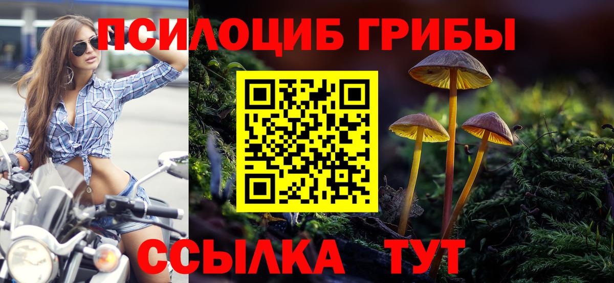 Галлюциногенные грибы прущие грибы Аша